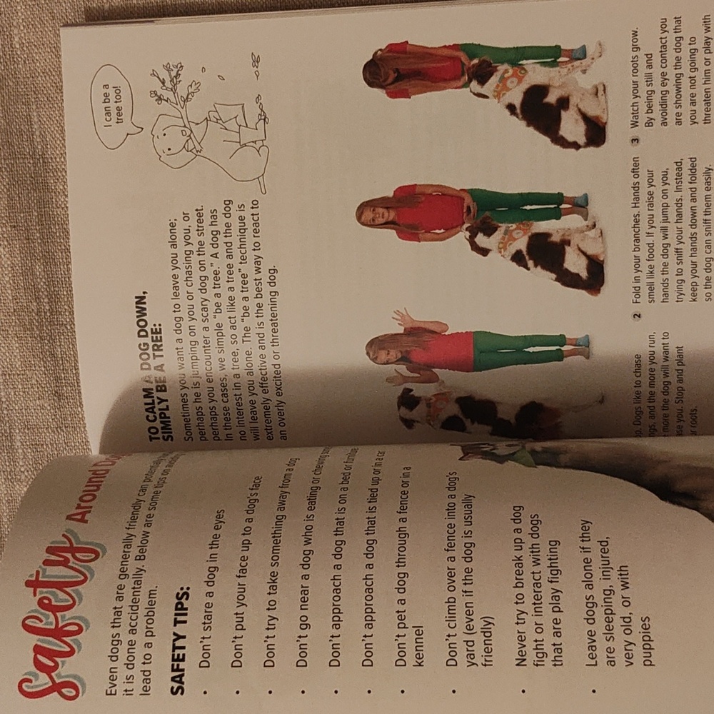 Dog Activity Kit Booklet - Picture 6 of 8